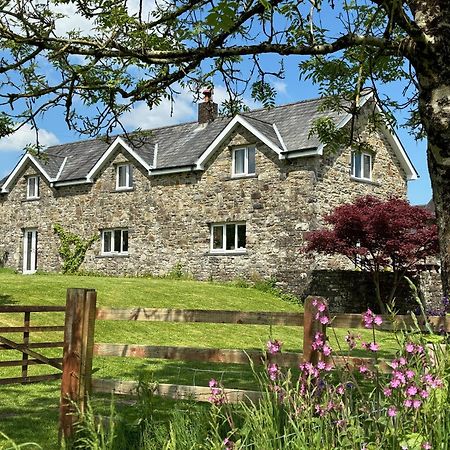 Maesyfelin Isaf B&B Llanybyther エクステリア 写真