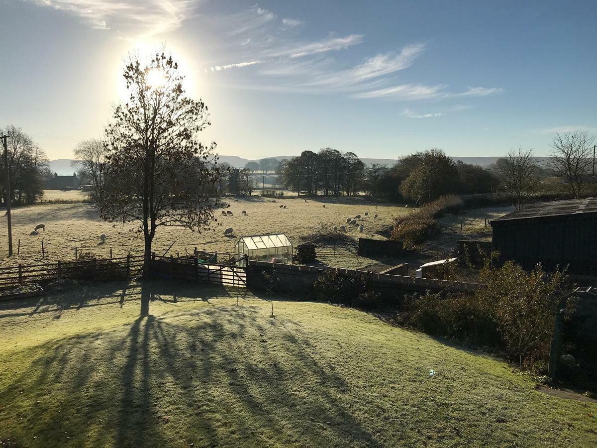 Maesyfelin Isaf B&B Llanybyther エクステリア 写真