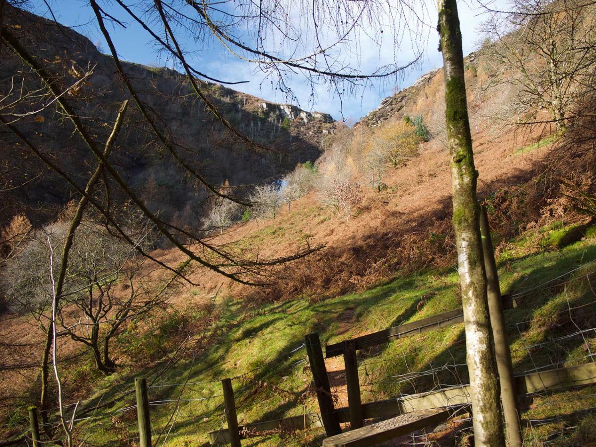 Maesyfelin Isaf B&B Llanybyther エクステリア 写真